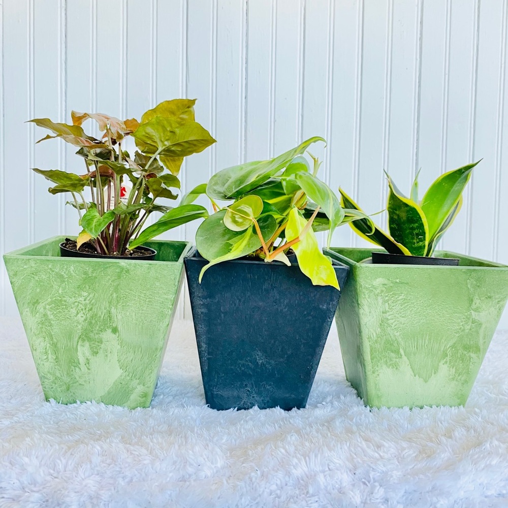 Art Stone Self-Watering Plant Pot